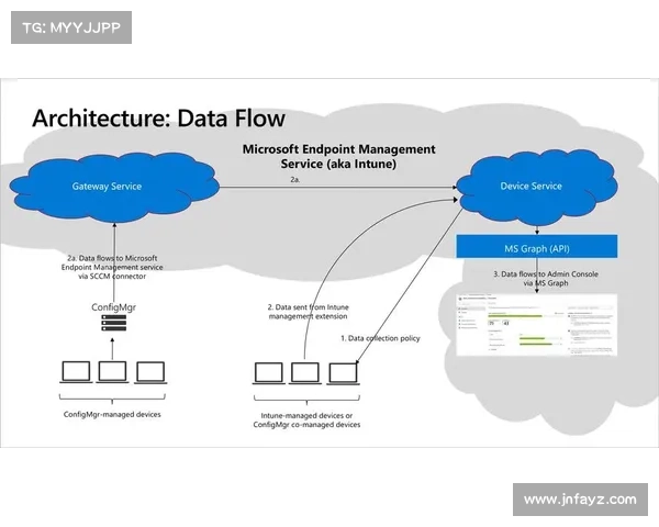 Dovetail平台中用户研究数据的高效整合与分析方法探讨