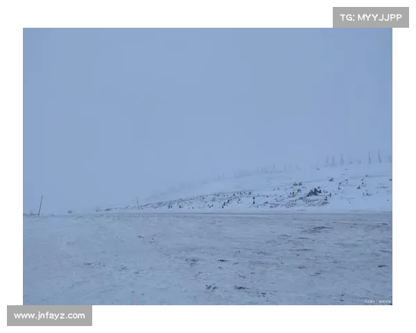 冬季湖畔魅力尽显 五大必看美景带你领略冰雪世界的宁静与诗意